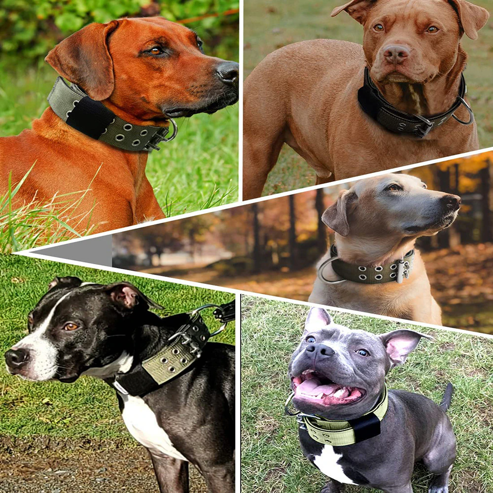 Heavy Duty Large Dog Collar