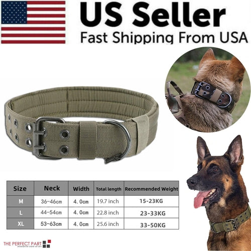 Heavy Duty Large Dog Collar