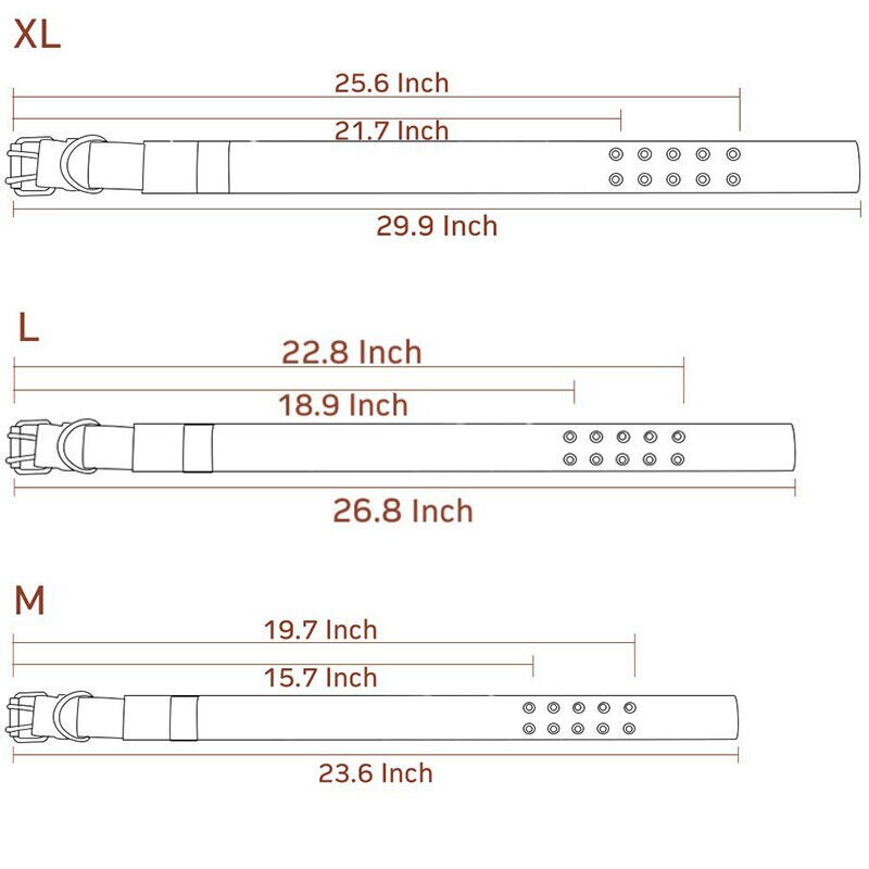 Heavy Duty Large Dog Collar