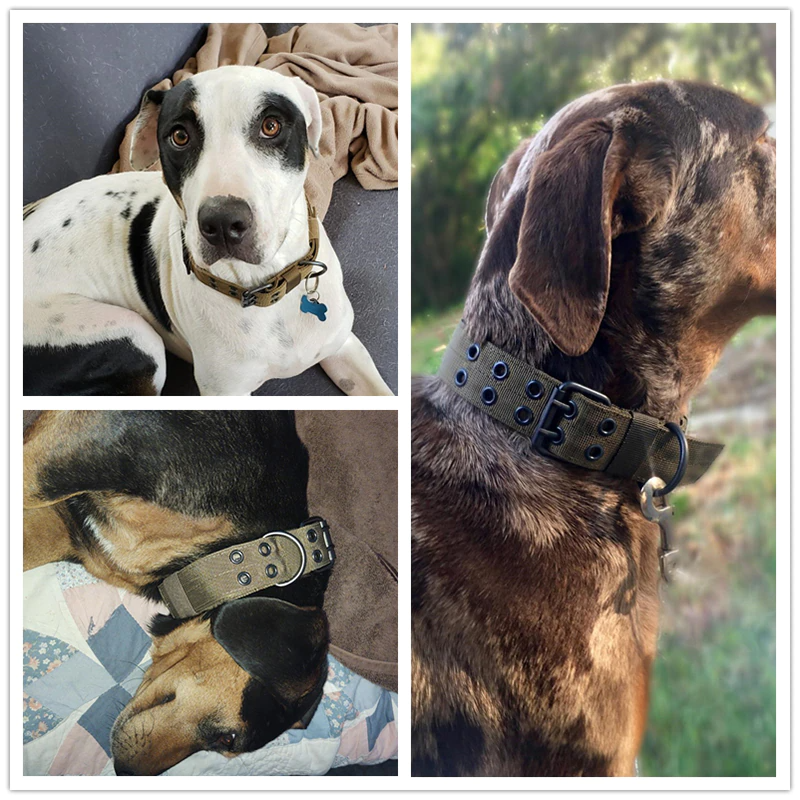 Heavy Duty Large Dog Collar