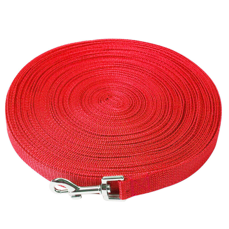 Dog Leash 6-100 ft