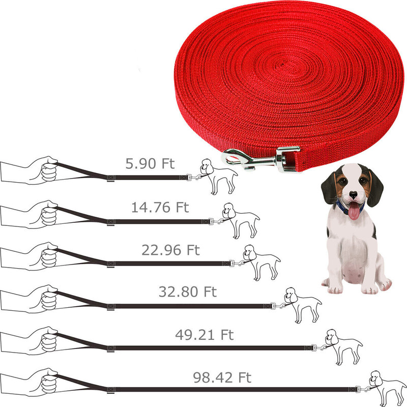 Dog Leash 6-100 ft