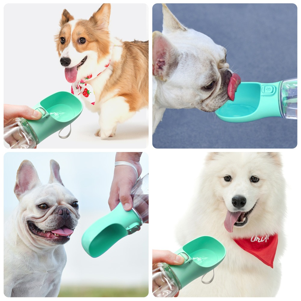 Outdoor Pet Dog and cat Feeder Bowls for travel