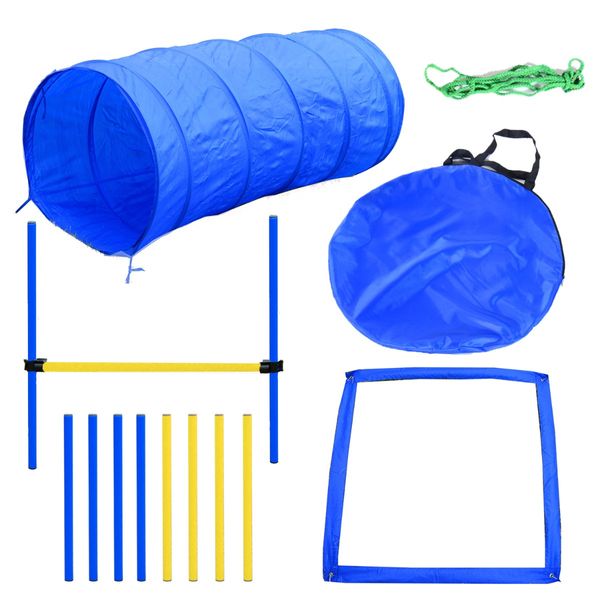 Dog Agility Starter Kit