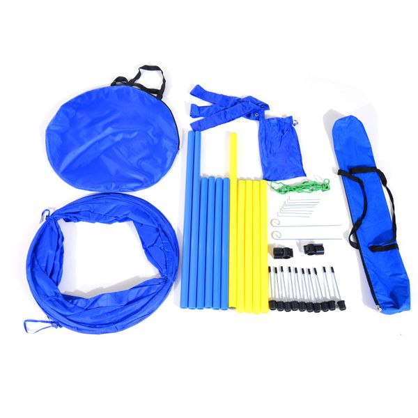 Dog Agility Starter Kit